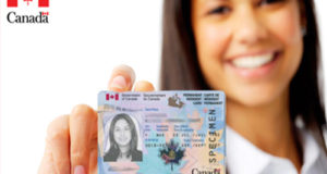 Permanent Resident Card Renewal