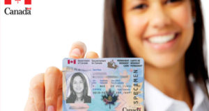 Permanent Resident Card Renewal Permanent Resident Card Renewal