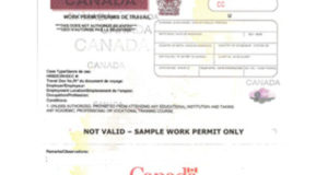 Renewals PCCIC